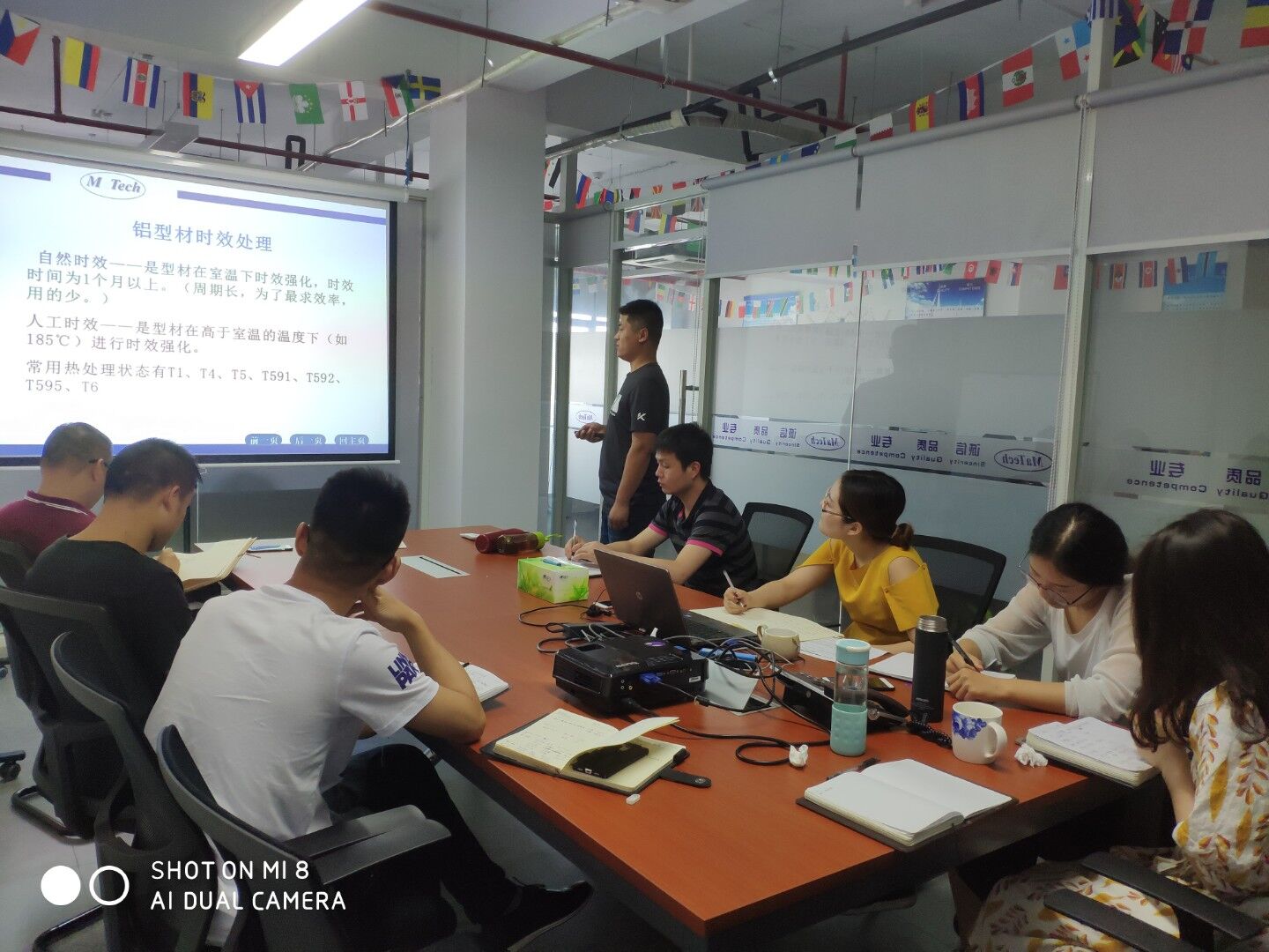 ISO9001 MATECH Customized Service Cast Aluminum Pulley(图30)
