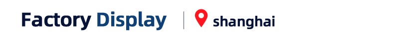 Company Overview(图3)