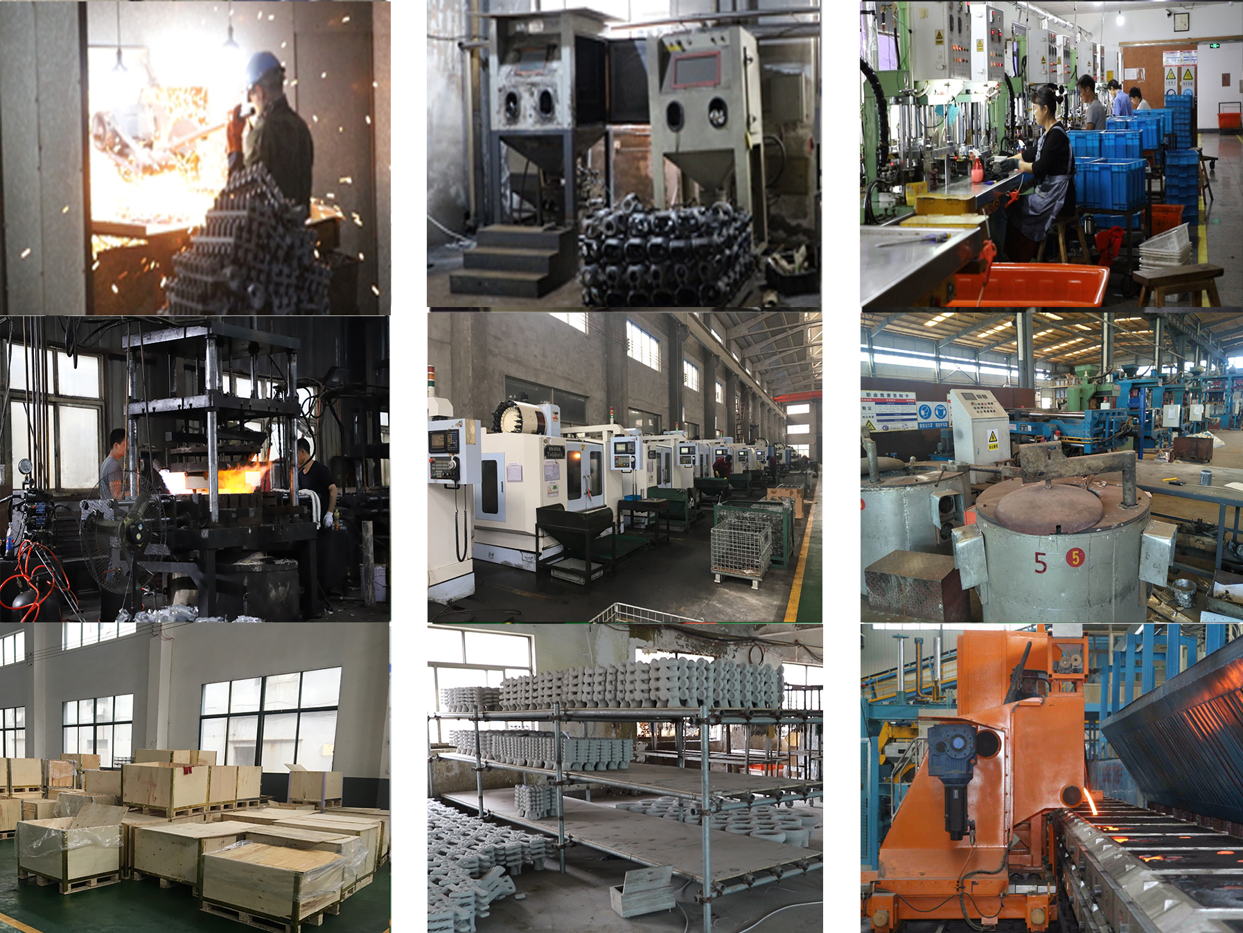 Company Overview(图5)