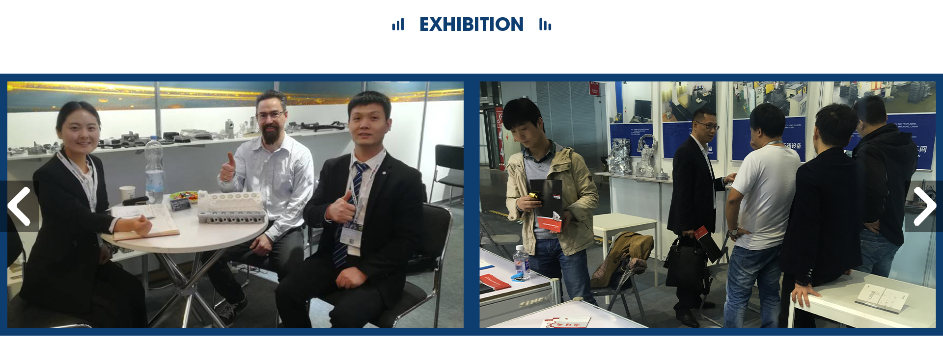 Company Overview(图11)